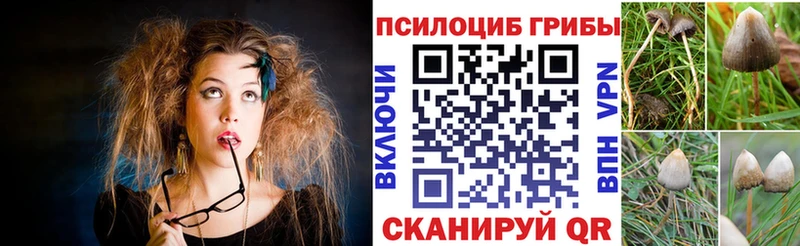 МЕГА зеркало  даркнет сайт  Покровск  Галлюциногенные грибы прущие грибы 