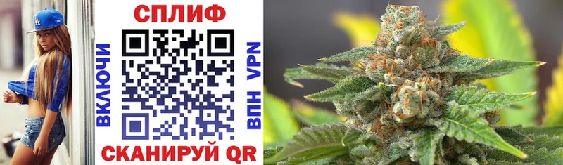 Каннабис White Widow  магазин продажи   Покровск 